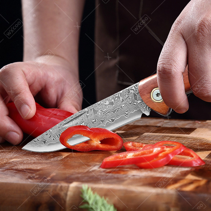 Nóż składany WXCOO, nóż kieszo – Camping Cooking Knife recenzja i cena